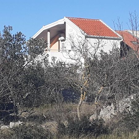 Villa Palfi Jezera Exterior photo